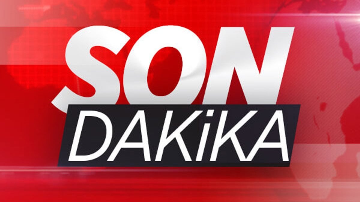 Narin'in ölüm nedeni belli oldu!