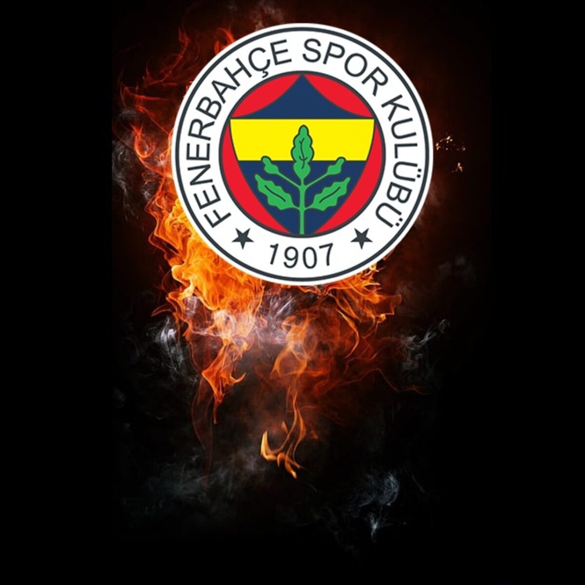 Fenerbahçe'den sakatlık açıklaması!