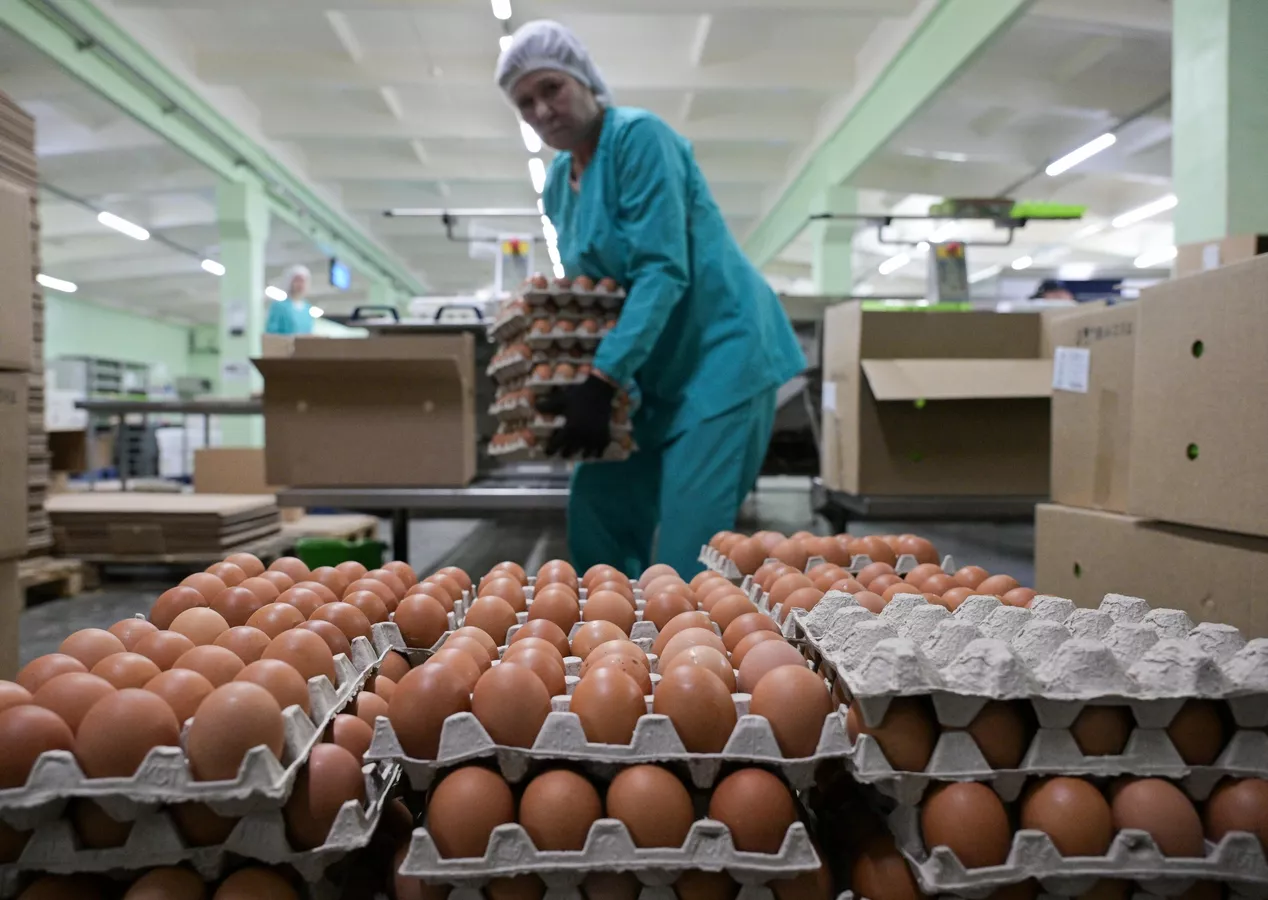 Yumurta fiyatları dört ayda yüzde 100 arttı: 30'lu yumurtanın fiyatı 250 lirayı buldu