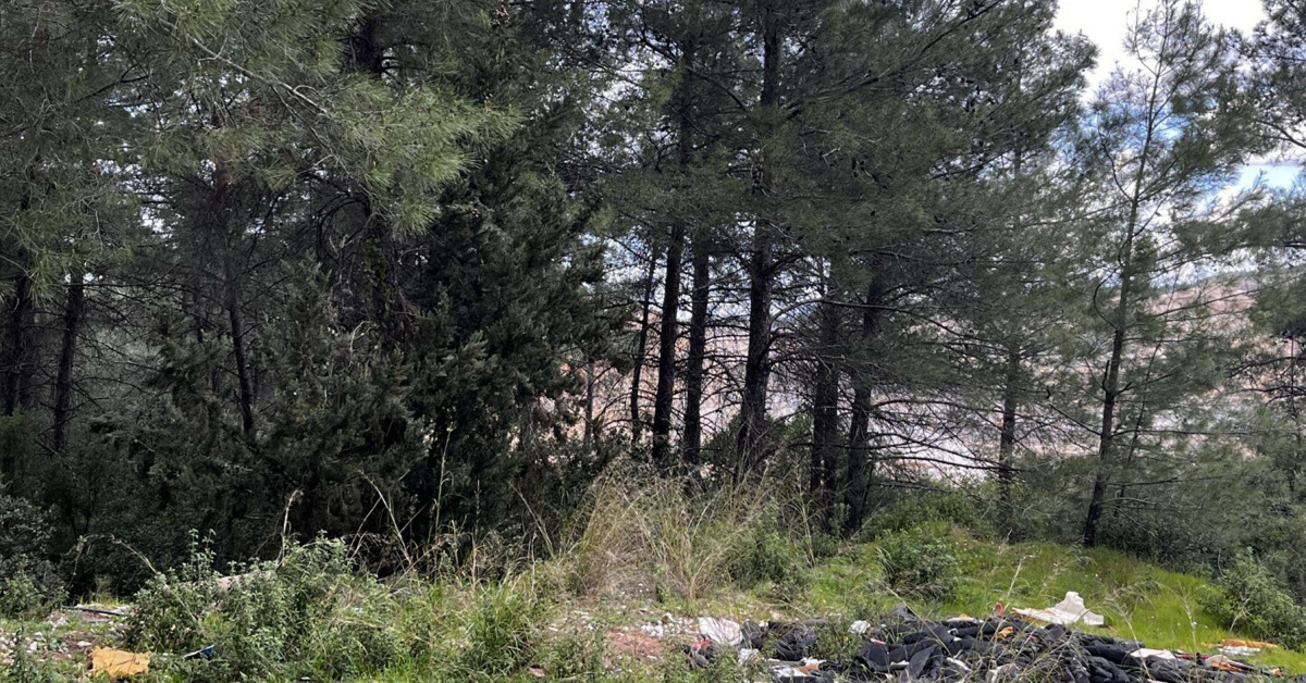 Danıştay'dan 'Akbelen' kararı
